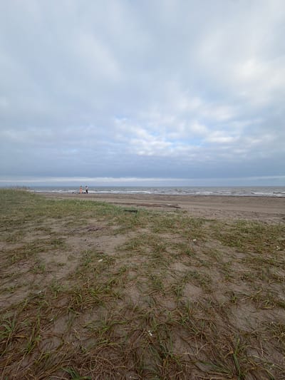 The image depicts a beach scene in Aniva, Russia. The foreground is dominated by a sandy area with sparse, dry grass and some patches of greener vegetation. In the middle ground, there is a wet sand area that transitions to the ocean. The ocean is visible in the background, with moderate waves and a choppy surface. The sky is overcast with thick, gray clouds, suggesting a cool or cloudy day. Two figures, appearing to be adults, are standing on the beach near the water's edge. They are positioned side-by-side and seem to be facing the ocean, though their specific interaction is unclear from the image. The overall environment is natural and undeveloped, characteristic of a coastal area.