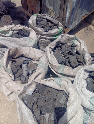 The image displays an outdoor scene in Birnin Kudu, Nigeria, featuring seven open, woven polypropylene sacks filled with charcoal. The sacks are primarily off-white or light grey, with several exhibiting intermittent green or blue striped patterns. The charcoal pieces are dark grey to black, irregular in shape and size, and possess fractured, rough textures, some revealing their woody origin.

The sacks are situated on a light brown, sandy ground, which shows scattered small debris. In the upper left background, a tangled mass of dark, fibrous or wire-like material is visible next to a dark, reflective surface, possibly standing water, displaying faint circular patterns. The upper right background reveals a rudimentary structure constructed from severely weathered and rusted corrugated metal sheets, partially obscuring underlying wooden planks. Strong shadows are cast on the ground, indicating direct sunlight from an elevated position. No individuals are present within the frame.