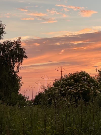 The image depicts a sunset over a rural landscape in the village of Kulikovo, Russia. The sky is filled with a vibrant gradient of orange, pink, and pale blue hues, with scattered clouds tinged with the same warm colors. In the foreground, tall green grass and various wildflowers create a natural, untamed foreground. To the left, a large, dark-leaved tree stands prominently. A line of distinctive, triangular structures on poles stretches into the distance, partially obscured by vegetation. A large bush with white flowers is visible on the right side of the frame. The scene appears serene and untouched, suggesting a natural or semi-natural environment.