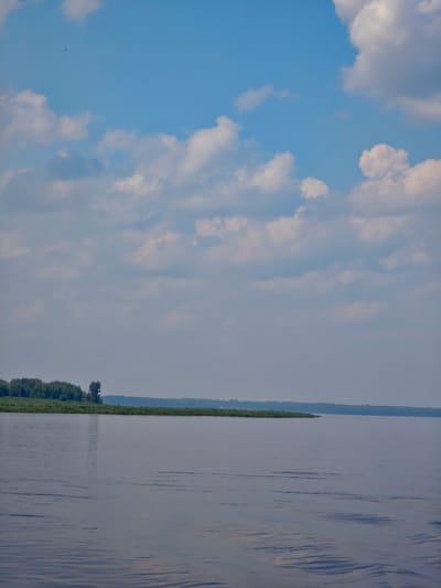 The image depicts a serene body of water under a bright blue sky dotted with fluffy white clouds. The horizon line is low, with a lush green shoreline featuring dense trees in the distance on the left side of the frame. The water's surface is calm, with subtle ripples reflecting the sky. There are no visible people or man-made structures in the immediate vicinity. The overall impression is one of natural tranquility and vastness. The scene is consistent with the natural landscapes found near Pogodaevo, Russia, particularly along its waterways and the Volga River.
