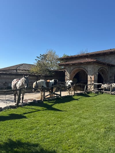 The image depicts several horses tethered outside a stone building in Kalimantsi, Bulgaria. The horses are saddled and appear to be prepared for riding. A rough wooden fence separates the horses from a patch of green grass. The building features arched doorways and a tiled roof, indicating an older architectural style. The sky is clear and blue, suggesting a sunny day.