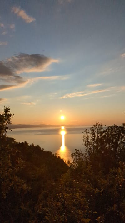A serene sunset over a body of water is depicted in this image, likely taken from a vantage point overlooking the Lazurnoe region of Ukraine. The sun, a brilliant orange orb, is positioned just above the horizon, casting a shimmering reflection down the center of the water. Wispy clouds, tinged with pink and orange, drift across the pale blue sky. In the foreground, the dark silhouettes of trees and foliage frame the scene, creating a sense of depth and natural beauty. The overall atmosphere is one of tranquility and natural splendor.