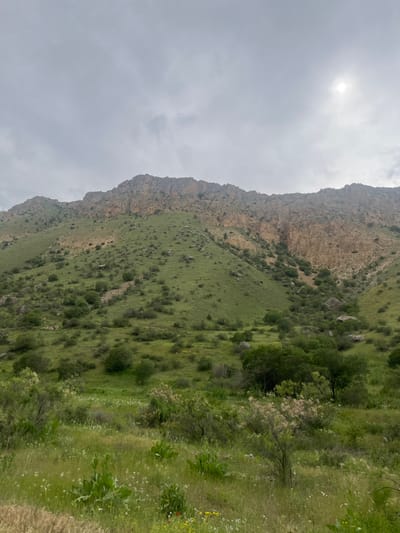 The image displays a vast mountainous landscape in Arpi, Armenia, under an overcast sky where the sun is breaking through in the upper right, casting a bright highlight. A prominent mountain range or large hill occupies the middle and upper sections of the frame. Its lower slopes are extensively covered in vibrant green grass and numerous scattered shrubs and small trees, interspersed with boulders and rocky outcrops. The upper parts of the mountain, particularly towards the right, reveal steep, exposed rock faces in shades of brown and tan, characterized by visible geological layering. A deep, narrow gorge with similar rocky walls is discernible on the right side of the mountain. The foreground and midground feature a lush expanse of green meadows dotted with a variety of bushes and flowering plants, including small white, yellow, and red blossoms. No human figures or man-made structures are visible.