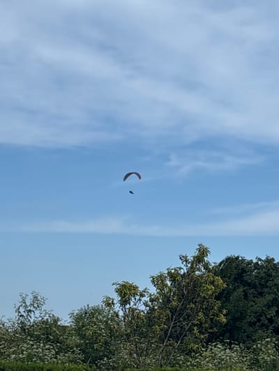 The image shows a paraglider in the sky above a natural landscape. The paraglider, appearing as a small, crescent-shaped object with a dark figure attached, is positioned in the upper-middle portion of the frame against a blue sky with scattered clouds. Below the sky, a dense line of green trees and foliage forms the lower part of the image. The trees are varied in size and color, with some appearing lighter green and others darker, suggesting different species or stages of growth. The overall scene depicts an outdoor activity within a natural, possibly rural or park-like setting. The location is identified as Bozhurets, Bulgaria.
