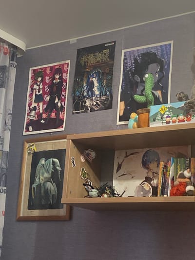 The image shows a wall with several posters and a shelf. The posters are anime-themed, with one depicting two characters in school uniforms and another showing a character with dark hair and a green snake-like figure. There is also a poster with Japanese characters and an image of people. Below the posters, a wooden shelf is visible. On the shelf, there is a framed picture of two figures, an American flag sticker, a small toy figure, and various books and anime figures. The background appears to be a textured gray wall, and the ceiling is visible at the top of the image. The lighting suggests an indoor environment, possibly a bedroom or living space. The overall scene is cluttered with decorative items. The specific location in Obninsk, Russia, cannot be determined from the visual information provided in the image.