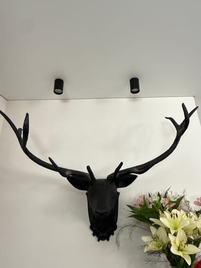 A black, stylized deer head mount with prominent antlers is displayed on a white wall. Two black cylindrical lights are mounted on the ceiling above the deer head. To the right of the deer head, a bouquet of flowers, primarily white lilies with hints of pink, is arranged in a vase. The setting appears to be an indoor space, possibly a home or a public building, in the city of Khokhryaki, Russia.