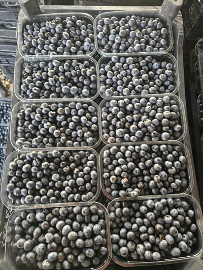 The image shows an overhead view of several clear plastic containers filled with blueberries. The containers are stacked on top of each other and appear to be placed within black plastic crates. The blueberries are a deep blue or purple color and are tightly packed within each container. The lighting suggests an indoor environment, possibly a market or storage facility. There are no people visible in the image. The scene is static and depicts produce ready for sale or transport. There is no information in the image to suggest a location in Ingiri, Georgia.
