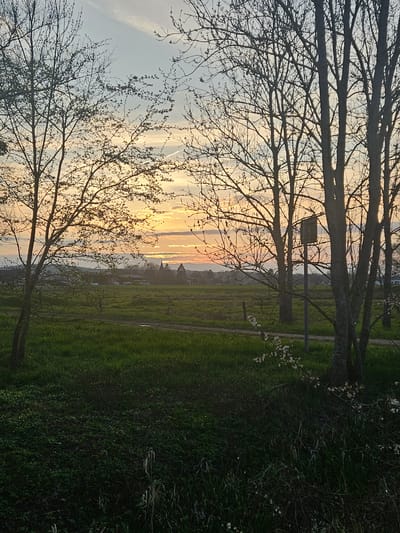 The image depicts a sunset scene in Gavisse, France. The foreground features bare tree branches silhouetted against the sky. A green field stretches across the middle ground. A path runs parallel to the tree line, with a sign visible near the trees. The sky shows a sunset with orange and yellow hues. In the distance, buildings and structures are faintly visible against the bright sky. The overall environment is a park-like setting during sunset.