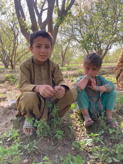 Two children are sitting on the ground in Qila Saifullah, Pakistan. The boy in the front wears a brown traditional shalwar kameez and blue sandals. He is looking at the camera and holding something in his hands. A clear glass jar is located near him on the ground. The girl behind him wears a green floral shalwar kameez and sandals. She has silver bangles on her wrists and is looking at the camera with her hands near her face. The background shows a tree orchard with green vegetation on the ground.
