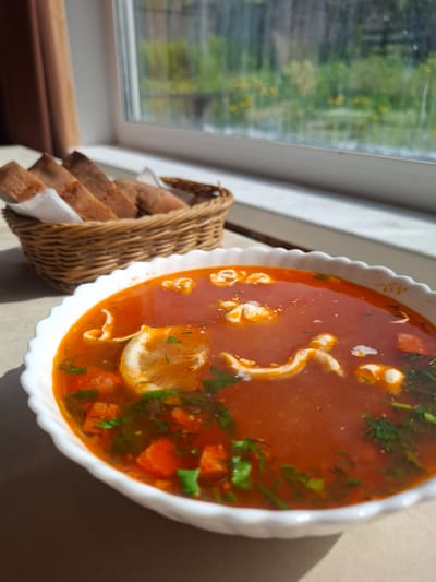 A close-up, slightly overhead shot showcases a white, ruffled bowl filled with a vibrant red soup, likely a borscht or solyanka, sitting on a neutral-colored tablecloth. The soup contains visible chunks of carrots and herbs, with dollops of white cream or sour cream swirled on top. A slice of lemon floats in the soup, garnished with dill. To the left and slightly behind the bowl, a woven basket holds several slices of dark bread, each with a white paper liner. In the background, a window reveals a blurry view of green foliage and yellow flowers, suggesting an outdoor scene beyond. The lighting indicates natural sunlight, casting shadows on the tablecloth, and the overall setting appears to be a home or restaurant with a view of nature. This scene is located in Sukhoy Ruchey, Russia.