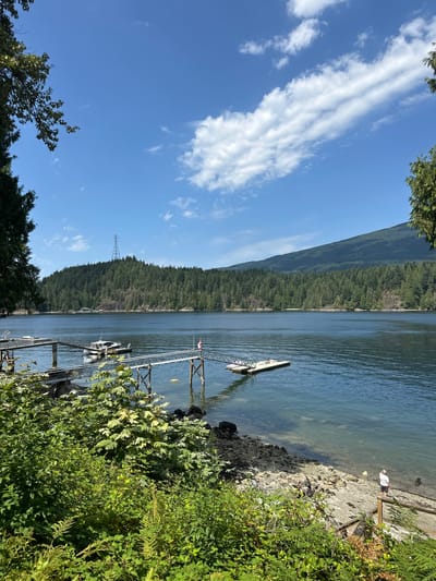 The image depicts a serene lakeside scene in Belcarra, Canada, under a bright blue sky dotted with scattered white clouds. In the foreground, lush green foliage and ferns frame the view of a calm body of water. Two metal docks extend into the water, with a couple of boats moored alongside one of them. A small Canadian flag flies from one of the docks.
Across the water, a densely forested hillside rises, with a prominent power line tower visible on its summit. The hillside meets the water's edge, creating a natural boundary. In the lower right of the image, a person in a white t-shirt and dark shorts stands on a gravelly shoreline, interacting with a dark-colored dog. The dog appears to be in the shallow water. A wooden railing and steps are visible near the shoreline. The water itself is clear, revealing the rocky bottom in shallower areas.
