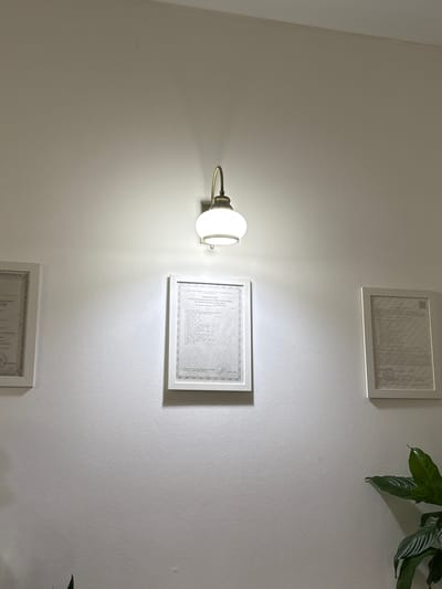 The scene depicts an interior wall in Romanovka, Russia. A wall-mounted light fixture, featuring a brass-colored metal arm and a white spherical glass shade, is centered in the upper half of the image, casting illumination downwards onto a light-colored, textured wall. Three white-framed documents are displayed on the wall. The central framed document, positioned below the light, prominently displays text in Cyrillic script, with the legible title "ПРИЛОЖЕНИЕ К РЕГИСТРАЦИОННОМУ УДОСТОВЕРЕНИЮ НА МЕДИЦИНСКОЕ ИЗДЕЛИЕ" (APPENDIX TO THE REGISTRATION CERTIFICATE FOR A MEDICAL DEVICE). A similar, less defined framed document is partially visible to the left, and another is to the right. In the lower right corner, a portion of a green plant with large leaves is visible. No individuals are present, and no actions are depicted. The environment suggests an indoor, possibly professional or administrative setting.