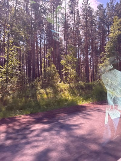The image captures a view from a vehicle moving along a paved road through a dense forest. Tall, slender pine trees dominate the landscape, with sunlight filtering through their branches, casting dappled shadows on the road and forest floor. The vegetation is lush and green, with undergrowth present along the roadside. A reflection of what appears to be the interior of the vehicle, possibly a car window with some condensation or debris, is visible on the right side of the frame. The scene suggests a natural, undeveloped area, consistent with the outskirts or surrounding natural areas of Yermakovskoye, Russia, a region known for its extensive forests. There are no people or discernible animals in the image. The overall impression is one of a serene drive through a picturesque woodland.
