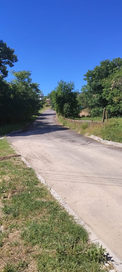 The image depicts a narrow asphalt road in Beguntsi, Bulgaria, running between grassy verges and trees under a clear blue sky. The road surface shows some tire tracks. On the left side, a wooden fence is visible through the trees. The overall impression is of a quiet, rural street.