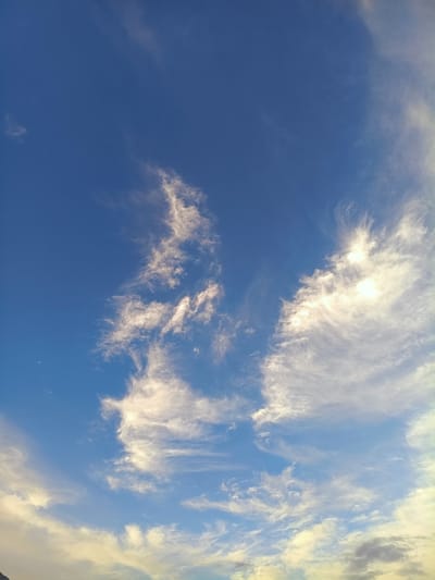 This media file is a photograph of a bright blue sky filled with wispy white clouds. The clouds are scattered across the frame, with some appearing more dense and illuminated by sunlight, while others are thin and stretched out, suggesting a gentle breeze. The overall impression is one of an expansive, open sky.
The scene captures a daytime setting, likely late afternoon or early evening due to the warm tones and the way the sunlight catches the edges of the clouds. There are no people, objects, or specific structures visible in the frame to indicate a particular activity or event. The focus is solely on the natural beauty of the sky and clouds.
The clouds are predominantly cirrus or cirrostratus, characterized by their feathery and fibrous appearance. Some patches of clouds are brighter and more opaque, indicating higher density or thicker ice crystal content. The sky itself is a vibrant, clear blue, suggesting fair weather conditions. There are no visible text elements in the photograph. The location context of Tash-Dobo, Kyrgyzstan, implies a natural, possibly mountainous or rural, landscape beneath this sky, although those elements are not depicted in the image. The image evokes feelings of peace, vastness, and natural beauty.