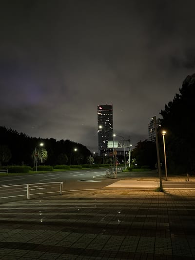 The image depicts a nighttime scene in Chiba, Japan, likely in an urban or suburban area with a significant park or green space. In the background, a tall, illuminated skyscraper stands prominently against a cloudy, dark sky. The skyscraper has numerous windows, many of which are lit, giving it a distinct appearance. To the right of the skyscraper, a slightly shorter, lighter-colored building is visible, also with illuminated windows.

In the middle ground, a road curves to the right, bordered by a dark line of trees and some palm trees. Streetlights with yellow-orange illumination are spaced along the road and sidewalk, casting light on the asphalt and the surrounding vegetation. A pedestrian crossing, marked with white stripes, is a focal point in the foreground. The pavement on the sidewalk and leading up to the crossing is made of patterned bricks, some of which are wet, reflecting the light from the streetlamps. A white metal barrier runs along the edge of the road.

The overall atmosphere is quiet and somewhat moody, characteristic of a city at night. There are no visible people in the immediate foreground or engaging in any explicit actions, although a faint, silhouetted figure can be seen walking on the sidewalk to the right, further away from the camera. The scene suggests a well-maintained urban environment with clear signage and infrastructure.