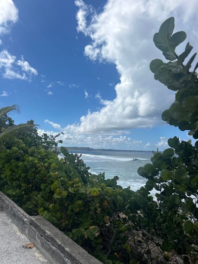 This image depicts a coastal scene in Le Moule, France, viewed from an elevated perspective. The upper half of the frame shows a blue sky with scattered white cumulus clouds, becoming denser towards the right. The foreground and sides are heavily framed by dense, dark green foliage, including broad-leafed bushes and the fronds of a palm tree visible on the far left. A grey concrete barrier or curb is present along the lower left edge of the frame. Beyond the vegetation, the ocean exhibits choppy, blue-green water with breaking white-capped waves. One individual, identified as a surfer, is observed actively riding a white-crested wave in the mid-ground, slightly right of the frame's center. A smaller, darker figure is discernible in the water further to the left, potentially another surfer. Distant landmasses, appearing as dark green hills, are visible along the horizon line.