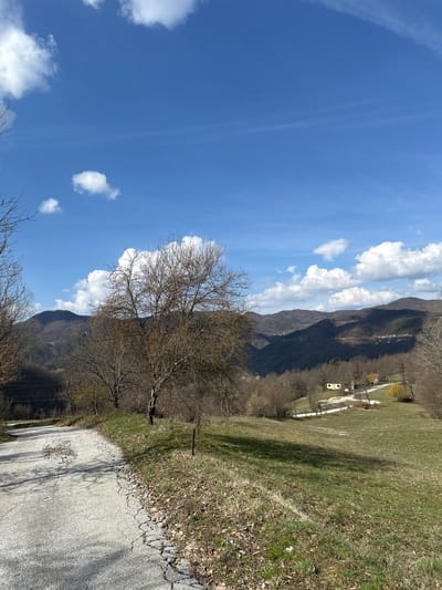 The image presents a rural landscape in Borinovo, Bulgaria, under a clear blue sky dotted with scattered white cumulus clouds. The scene is illuminated by bright daylight, suggesting late winter or early spring conditions.
In the foreground, a damaged asphalt road with extensive cracking, potholes, and loose gravel occupies the left side, exhibiting shadows cast from the left. To the right of the road, a grassy embankment with patches of dried leaves and nascent green growth ascends.
The midground is dominated by rolling hills covered in sparse vegetation, featuring numerous deciduous trees, largely bare of leaves. Utility poles supporting power lines are visible, extending across the landscape. In the distance, on a lower hill, a small, light-colored rectangular building with a darker roof is observed, connected by a winding dirt or gravel road.
The background consists of multiple layers of mountains, characterized by forested slopes appearing dark green and brown, with variations in light and shadow. No individuals or discernible activities are present in the frame.