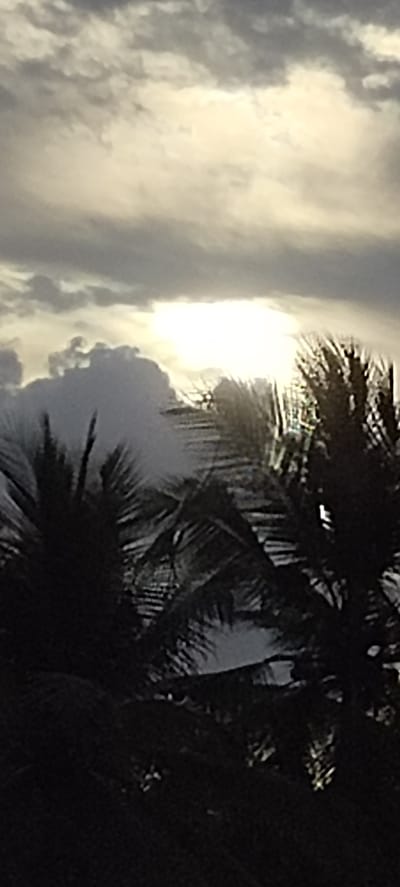 The image depicts a view of the sky with a bright, obscured sun and cloudy conditions, seen through the silhouette of palm trees. The location is Aluekeujruen, Indonesia, as specified. The foreground is dominated by dark palm tree foliage, creating a stark contrast with the bright sky above. The sky is filled with layers of gray and white clouds, with a prominent burst of sunlight filtering through a break in the cloud cover. The sun's glare makes it difficult to discern details within the cloud formation immediately surrounding it. The overall impression is one of a tropical environment experiencing partly cloudy weather. There are no people or discernible objects other than the natural elements described.