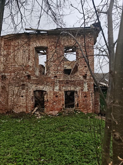 The image shows the decaying brick facade of a building in посёлок совхоза "Буденновец", Russia. The building has two window openings on both its first and second stories. The structure's roof is partially destroyed and shows exposed wooden planks. A dense patch of green ground cover is situated in front of the building. Bare tree branches frame the building. The sky is overcast. A portion of what appears to be a secondary structure with a green door is visible on the right. Debris can be seen inside the window and door openings on the first floor.