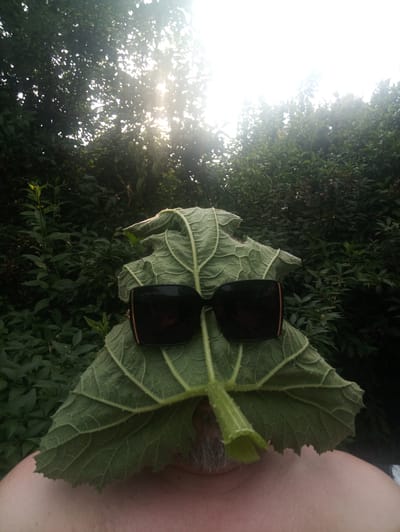 The media file is a medium shot, outdoor photograph taken in Yampil, Ukraine. The subject is a person whose face is largely obscured by a large green leaf. The leaf is positioned to cover the person's face, with sunglasses resting on it, mimicking eyes. The stem of the leaf juts out from below, suggesting it's being held by the person. A small portion of the person's shoulders and chin, along with some gray stubble, are visible below the leaf. The background consists of dense green foliage and trees, with the sun shining brightly through the leaves from the top of the frame. This suggests it is daytime, likely late afternoon or early morning given the angle of the sun. The overall mood is playful and creative, with the person using natural elements to form a unique disguise. There is no visible text in the image.
