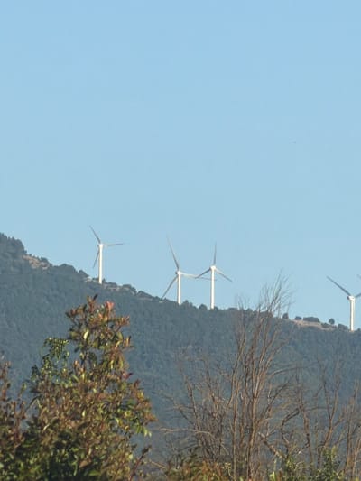 The image displays a landscape scene featuring a line of wind turbines situated on a verdant, hilly terrain under a clear blue sky. The wind turbines, white in color, are positioned at intervals along the crest of the hill. In the foreground, the branches and foliage of trees, some appearing bare and others leafy with reddish-brown hues, partially obscure the view of the hill and turbines. The overall impression is of a rural or semi-rural environment in Greece, specifically within the Δημοτική Ενότητα Προμαχώνος region.