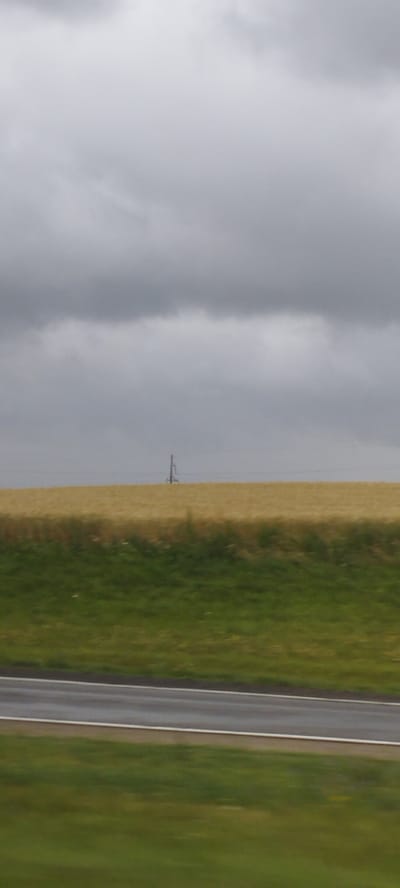The image depicts a rural landscape under a heavily overcast sky. In the middle ground, a field of golden crops, likely wheat or barley, stretches horizontally. A dark green strip of grass or vegetation runs along the bottom edge of the crop field, forming a distinct boundary. In the far distance, a single, tall, thin metal pole with crossbars stands isolated in the field, possibly an electrical pylon or part of a communication tower. In the foreground, a blurred asphalt road with white markings is visible, with another blurred green area, likely grass or foliage, bordering it. The overall scene is muted in color due to the cloudy weather.
