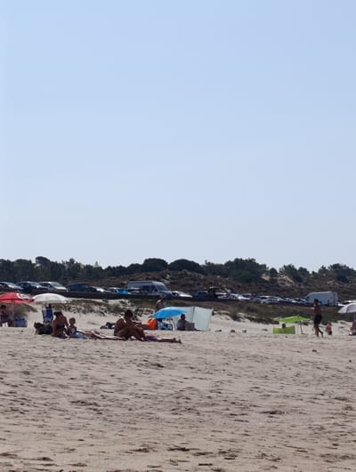 The image depicts a beach scene in Sines, Portugal, under a clear blue sky. In the foreground, the sandy beach is occupied by several individuals enjoying the day. A group of people are seated on the sand, some under umbrellas. To the left, a red umbrella provides shade for a few people. In the middle ground, more people are relaxing on the sand. Further back, a line of cars is parked along a raised area lined with greenery and trees, suggesting a coastal road or parking area adjacent to the beach. Several tents and beach shelters are also visible on the sand. The overall atmosphere is one of leisure and recreation on a sunny day.