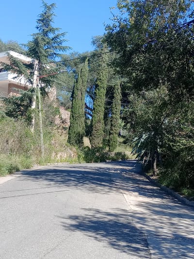 A sun-drenched outdoor scene in Villa Carlos Paz, Argentina, depicts a paved road or pathway bordered by lush, dense vegetation. The road, which appears to be concrete or asphalt, slopes gently upwards and is strongly illuminated by bright sunlight, casting long, sharp shadows of overhead trees across its surface. Numerous cracks are visible in the pavement.
To the left of the road, a steep, verdant hillside is covered with a variety of trees and shrubs. Tall, slender cypress-like trees stand prominently, interspersed with broader-leaved deciduous trees and agave plants. Parts of the hillside reveal what appear to be stone retaining walls or natural rock formations. Towards the lower left, a section of a white building with an angular design is partially visible, suggesting a residential or commercial structure nestled within the greenery. A utility pole with wires extends upwards from near the building, disappearing into the tree canopy.
The sky is a clear, vibrant blue, visible through gaps in the foliage. The strong shadows and intense lighting indicate a bright, sunny day, likely morning or late afternoon. No people or animals are present, and no specific activities are taking place, presenting a tranquil, natural, yet developed landscape. No visible text is present in the image.