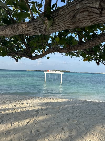 A beach in Himmafushi, Maldives, is depicted from a low, sideways perspective, with a tree in the left foreground. The tree has a thick, textured trunk and branches with green leaves. The water is clear and turquoise, with a pier in the distance. The beach has white sand with footprints.