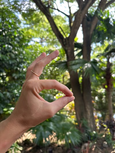A close-up, eye-level shot features a person's left hand against a blurred background of lush green foliage and trees. The hand is positioned in the center of the frame, with the palm facing the viewer and the fingers curled inwards. The index finger and thumb are forming a circular shape, while the other fingers are slightly bent. A thin, gold ring adorns the ring finger. The background is out of focus, showing the dappled sunlight filtering through leaves, suggesting an outdoor setting, possibly a park or garden. The overall lighting is bright, indicating daylight.