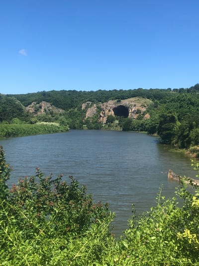 A wide shot depicts a tranquil lake in Pisanets, Bulgaria, under a clear blue sky. The water, rippling gently, reflects the lush green foliage that blankets the surrounding hills. Jagged rock formations are visible on the left side of the frame, with a dark cave entrance nestled within them. Dense trees frame the upper portion of the image, creating a sense of depth and immersion in nature. In the foreground, vibrant green bushes and leaves partially obscure the view of the lake, adding a touch of wilderness to the scene. A weathered piece of wood and some netting are partially submerged in the water on the right, hinting at human activity. The overall impression is one of serene natural beauty, undisturbed by the presence of any individuals.