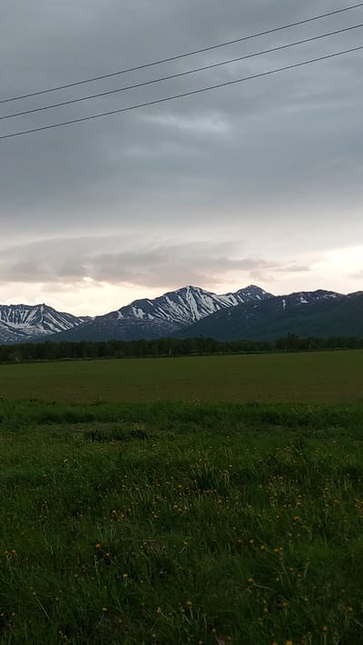 This media file depicts a mountainous landscape under a cloudy sky. The foreground features a vibrant green meadow dotted with small yellow flowers, suggesting a springtime or early summer setting. To the left of the meadow, a dark mountain range rises sharply, its peaks partially covered in snow. The sky is overcast with dramatic cloud formations, with patches of lighter sky breaking through, hinting at either dawn or dusk. Four dark power lines run diagonally across the left side of the image, disappearing into the sky. The overall impression is one of natural beauty and solitude, with the imposing mountains contrasting with the soft meadow. There is no visible text in the image. The scene appears to be set in a rural or wilderness area, possibly in the mountains of Lesnoi, Russia, given the provided location context.