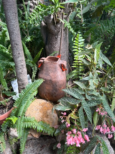 The image depicts a close-up view of a garden area, likely a backyard or courtyard, characterized by lush, dense greenery and natural elements. The scene is dominated by various plants, including ferns with intricate fronds and a flowering plant with delicate pink blossoms and distinctive green leaves speckled with white dots. In the center of the composition is a rustic, reddish-brown ceramic pot, appearing aged and textured, with two orange ropes looped around its handles. Beside the pot lies a large, smooth, light-brown stone.
The background is filled with more foliage, including larger tree trunks and a variety of green leaves, suggesting a shaded and somewhat wild environment. The overall impression is one of a natural, somewhat overgrown garden space. The image does not contain any people or visible signs of human activity beyond the placement of the pot and the rope. The lighting appears natural, indicative of daylight, with shadows suggesting the time of day. The exact location within the Beer Tuvia Regional Council, Israel, cannot be determined from the visual information presented.