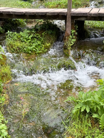 The image depicts a narrow wooden bridge crossing a shallow, fast-flowing stream surrounded by lush green vegetation. The water is clear and turbulent, with small whitecaps and bubbles indicating its speed. The stream bed is visible, with rocks and moss-covered surfaces. On the banks of the stream, various green plants and grasses are growing, some of which are quite large and leafy. The wooden bridge is constructed from planks and supported by a single vertical wooden post. The scene appears to be a natural setting, likely in a rural area. The location is identified as Ćusine, Bosnia and Herzegovina. There are no people or animals visible in the image. The lighting suggests it is daytime, with diffused light that highlights the wet surfaces of the rocks and vegetation.