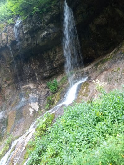The image depicts a natural landscape featuring a waterfall cascading down a rocky cliff face. The cliff is characterized by layers of stone and patches of moss and vegetation. Several streams of water are visible, with a larger, more pronounced waterfall dominating the central and right portions of the image. Dense green foliage, including bushes and smaller plants, covers the lower part of the scene, extending towards the foreground. In the upper section, trees with green leaves are visible, suggesting a forested environment surrounding the cliff. The overall scene is one of a natural, undeveloped area. This image could be located in the vicinity of Khushto-Syrt, Russia, which is known for its natural beauty and geological formations.