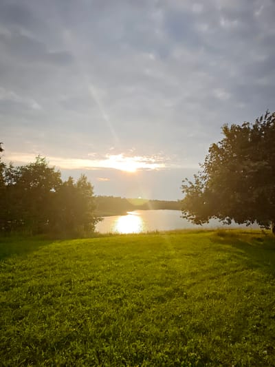 This is a landscape photograph taken from a grassy hill overlooking a body of water. The sun is setting, casting a warm glow across the scene. The sky is partly cloudy, with rays of sunlight breaking through.
In the foreground, a lush green lawn slopes down towards the water. Two large trees frame the view, one on the left and another on the right. The tree on the left is denser and darker, while the tree on the right is lighter and appears to be shedding leaves. The water reflects the bright light of the setting sun, creating a shimmering effect. The horizon is marked by a distant treeline.
The overall mood of the image is peaceful and serene, evoking the quiet beauty of nature at dusk. The warm colors and soft lighting suggest a tranquil evening. There is no visible text in the image. The location context is Novosinkovo, Russia, suggesting this is a natural landscape in that region.