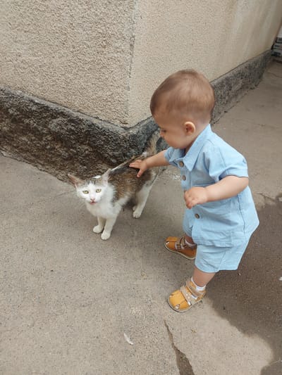 A toddler wearing a light blue button-down romper and tan sandals pets a white and brown cat. The child stands on a light grey concrete surface, possibly a sidewalk or street, near a rough concrete curb. The cat is positioned between the child and the curb, looking upwards. The location is not indicated.
