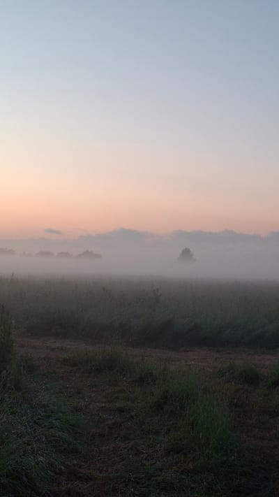 This is a vertical, low-angle, wide shot of a foggy, rural landscape at sunrise in Kaporskoe, Russia. The left half of the image depicts a soft, gradient sky transitioning from a pale blue at the top to a warm, peachy-orange near the horizon. A dense layer of fog blankets the middle ground, obscuring any distant details and creating a mystical atmosphere. Within the fog, a solitary, silhouetted tree can be seen, adding a touch of mystery to the scene.
The right half of the image shows a dark, grassy field, possibly a meadow or agricultural land. The grass appears damp, with dew drops visible, hinting at the early morning hour and the cool, misty weather. A narrow strip of tilled earth or a path runs along the edge of the grass, separating it from the fog-filled field. The overall mood is serene and tranquil, evoking a sense of quiet contemplation as the day begins. The low light and diffused fog suggest it is early morning, likely during a cooler season. There is no visible text in the image.