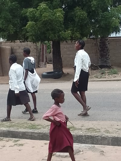 A medium shot shows four African girls in Biliri, Nigeria. The environment appears residential with trees, a brick wall, a road, and a sidewalk. One young girl in the foreground wears a pink striped long-sleeved shirt and a maroon skirt, standing on the sidewalk with her hands on her hips. Behind her on the road, three other girls are walking. Two are wearing white long-sleeved shirts and black skirts, with the middle girl having a gray t-shirt and carrying a white bag. The girls wear open sandals or sneakers.