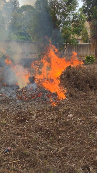 This image depicts an active bonfire in an outdoor area of Longuo 'A', Tanzania. A large pile of dry organic material, consisting of brown brush and branches, is engulfed in bright orange flames, predominantly in the center-right of the frame, producing white and grey smoke that billows upwards and to the left. Visible within the fire are glowing embers and charred debris. The ground immediately surrounding the fire is composed of reddish-brown soil intermixed with dry, light brown vegetation and scattered green shoots. A small, red and black object, consistent with a discarded item such as a lighter or a small container, rests on the soil in the lower-left foreground. In the midground, behind the bonfire, a light-grey concrete wall extends horizontally. Beyond the wall, a dense arrangement of green trees and foliage is visible. A light-colored, multi-story building with identifiable windows is partially visible through the trees in the upper-right background. The sky appears overcast or hazy. No individuals are present in the scene.