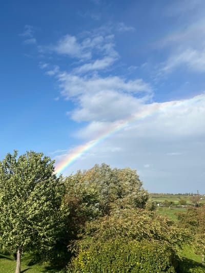 The image depicts an outdoor landscape in Ribeauvillé, France, captured from an elevated vantage point. The upper half of the frame shows a dynamic sky: a clear, bright blue dominates the left, featuring sparse white cumulus clouds, while the right transitions into a darker, overcast grey. A vibrant, multicolored rainbow arches across the sky, originating from the mid-left and extending towards the mid-right, partially obscured by tree canopies in its lower arc.
The midground and foreground are characterized by a dense assortment of trees and bushes, displaying various shades of green foliage, with hints of yellow and brown suggesting late summer or early autumn. A prominent tree with bright green leaves stands in the lower-left. Beyond this immediate vegetation, the background reveals an expansive, flat green agricultural landscape. In the distance, several scattered low-rise buildings with reddish roofs and vertical utility poles are visible, indicating the presence of a rural or suburban settlement within the broader Ribeauvillé area. No human figures or discernible actions are present.