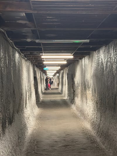 The image depicts a passageway within Salina Turda, a salt mine located in Boj-Cătun, Romania. The passageway has rough, textured walls and ceiling that are predominantly white in color, likely due to salt deposits. The floor is dark and appears wet or damp. Along the left side of the passageway is a wooden structure with a metal railing. Vertical lights are mounted to the structure at regular intervals. In the distance at the end of the passageway, several figures are lying down.