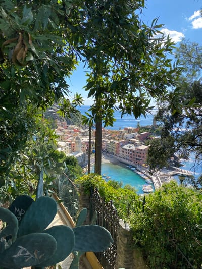 This image captures a high-angle view of the village of Vernazza, Italy, as seen from an elevated position, likely along one of the hillside paths, possibly the Sentiero Azzurro. The foreground is dominated by lush green foliage, including broadleaf trees that frame the central view from above and the sides. In the lower-left, large, flat, green pads of a prickly pear cactus are visible, with faint markings and engravings, including "MP" and a heart. Below the cactus, a rusty metal fence runs diagonally.
The midground reveals the colorful, densely packed buildings of Vernazza, situated around a small, crescent-shaped harbor. The characteristic pastel-colored structures range from yellow and orange to pink, with red-tiled roofs. Prominently featured is the dome and bell tower of the Santa Margherita d'Antiochia Church, located near the waterfront.
The harbor features clear, turquoise-blue water with several small boats, some appearing to be kayaks or paddleboats, near the beach area. A stone pier or breakwater extends into the sea on the right side of the harbor, lined with numerous docked white recreational boats. People are visible as small figures on the pier and potentially on the beach.
In the background, the deep blue expanse of the Ligurian Sea stretches to the horizon under a clear sky with scattered white cumulus clouds. To the far right, on a rocky promontory overlooking the sea, the stone tower of Doria Castle is partially visible. The overall scene is brightly lit by daylight, indicating clear weather.