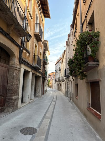 This is a street-level, eye-level, vertical, medium shot of a narrow street in La Pobla de Claramunt, Spain. The street is paved with concrete, and has two grey stripes running down the center. On the left side of the street, there is a brick building with a large wooden door and a metal grate. The building has pillars and arched doorways. On the right side of the street, there are two-story buildings with light brown facades. One building has a balcony overflowing with pink flowers. The sky is blue with some wispy clouds. There is a street lamp on the left side of the street. The street is empty of people. In the distance, the street curves to the right, and there are more buildings visible, as well as a single car.
