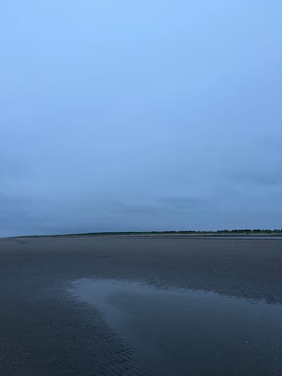 The image depicts a wide expanse of dark, wet sand with ripples caused by receding water. A small pool of water reflects the overcast sky. In the distance, a low-lying strip of green vegetation separates the sand from the sky. The sky is a uniform, pale blue-gray, indicating a cloudy or twilight condition. The scene is devoid of any people or man-made structures. It is a natural landscape with a focus on the textures of the sand and the vastness of the sky. The location is described as Yandova Guba, Russia.
