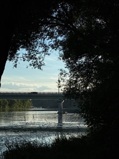 This is a vertical, low-angle, silhouetted shot of a river scene near Il’inskoye, Russia. In the foreground, the dark silhouette of a tree with dense foliage dominates the right side of the frame, with a dark tree trunk on the left. The middle ground features a wide river with ripples and reflections of the sky. A light green bridge spans the river, with a dark-colored vehicle visible on its surface. Beyond the bridge, a tree-lined shore is visible, with several small boats docked. The background consists of a bright sky with scattered white clouds and a faint horizon line. The overall impression is a tranquil, natural landscape.