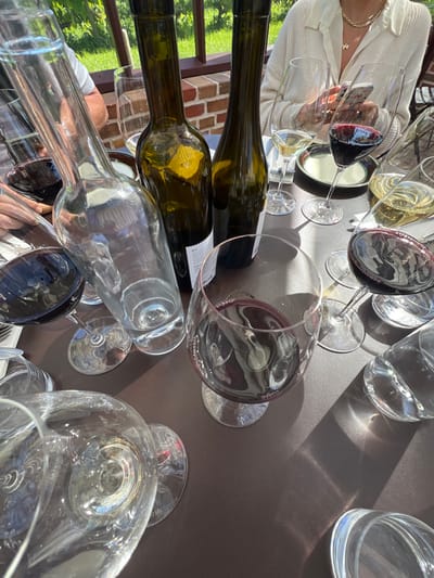 This image captures an outdoor table scene in Nyhamnsläge, Sweden, under bright sunlight. The primary subjects are an arrangement of wine bottles and glasses on a dark brown table. Three wine bottles are visible: one clear, empty glass bottle stands prominently on the left, flanked by two dark green, mostly empty wine bottles with white labels. Numerous wine glasses are scattered across the table, some containing varying levels of red wine, others with white or yellow wine, and several empty or containing water.
Partial views of at least three individuals are present. On the far right, a person wearing a light-colored collared top and a gold necklace is holding a smartphone, with their hands and the device illuminated by sunlight. To the upper left, an arm and shoulder of a person in a grey shirt are visible. A third hand is seen on the far left, near a red wine glass. A white plate with a green and blue rim is visible on the right side of the table.
The background reveals an outdoor setting with a dark brown wooden railing. Behind the railing, a brick wall is visible, with green grass and foliage beyond it, suggesting a garden or vineyard environment. Strong sunlight creates distinct shadows of the bottles and glasses on the table surface.