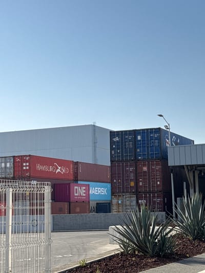 The image displays an industrial storage yard situated in Sanctorum, Mexico, under a clear, cloudless blue sky. The scene is dominated by multiple intermodal shipping containers, stacked predominantly two to three high. Visible container brands include 'HAMBURG SÜD' (red), 'ONE' (purple), and 'MAERSK' (light blue). Additional containers are present in dark blue, various shades of red-brown, and grey-green. In the background left, a large, light-colored corrugated metal building with an exterior ladder is visible. To the right, a darker building structure with an overhang and support columns is partially visible, adjacent to a utility pole holding a single street light luminaire. The foreground features a grey paved surface. On the left, a white metal mesh fence is present. On the right, a landscaping strip with dark brown mulch contains several multi-leafed, spiky green plants. No human subjects are present.