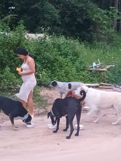The photograph appears to be taken outdoors in Baan Kai, Thailand. A woman in a light-colored dress is standing near a group of dogs. She is holding an object, possibly food. Around her are four dogs of varying colors (black, white, and speckled). The dogs are eating from white bowls on the ground. The background includes green bushes and trees. Debris and tree branches are visible to the right. The setting suggests a rural or semi-rural area.